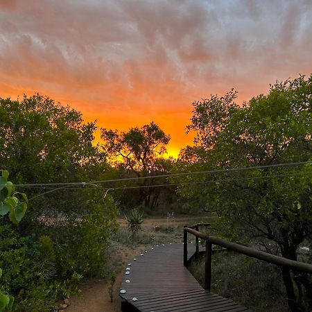 Out In Africa Wildlife Lodge Hammanskraal Luaran gambar