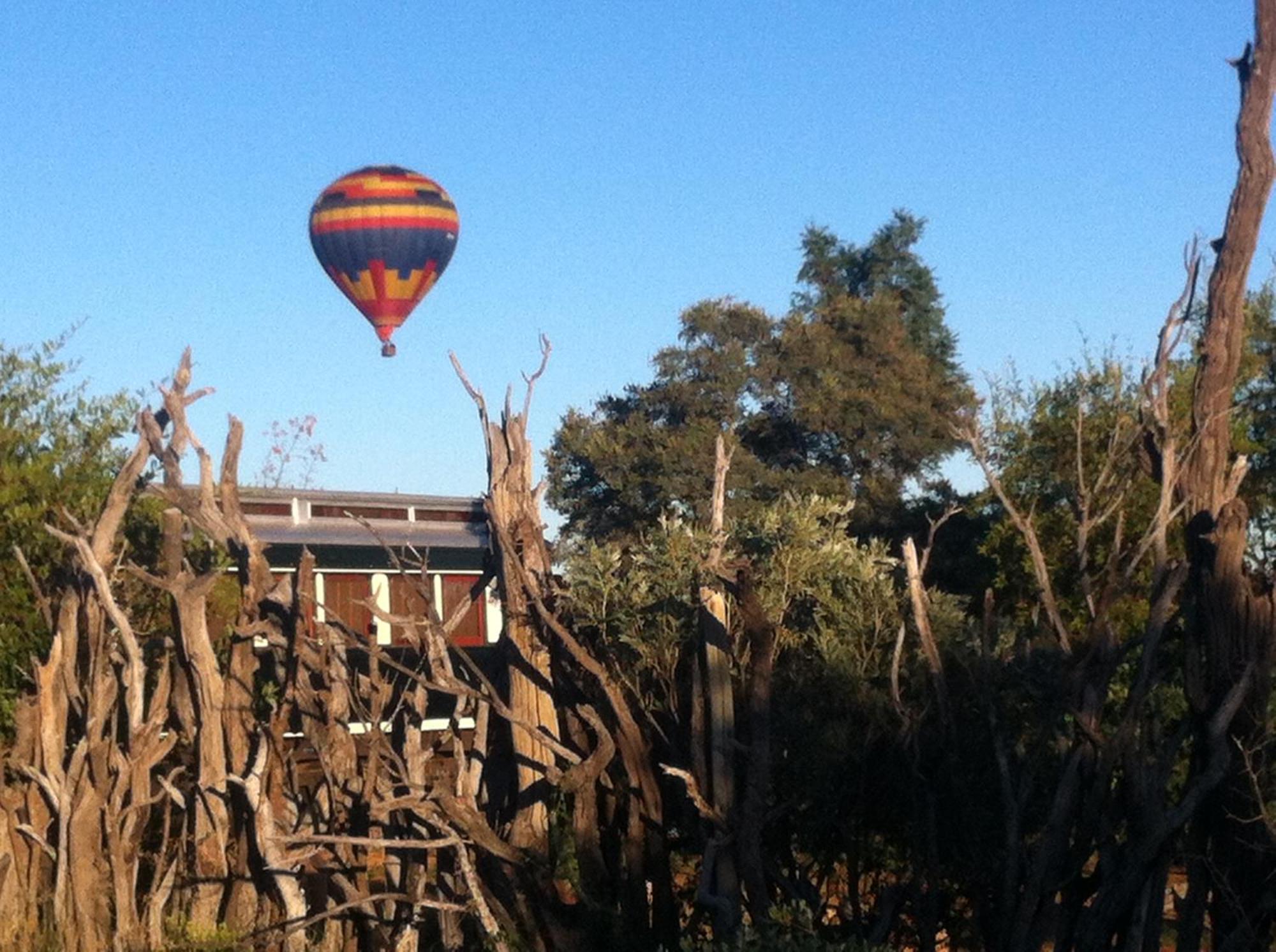 Out In Africa Wildlife Lodge Hammanskraal Luaran gambar