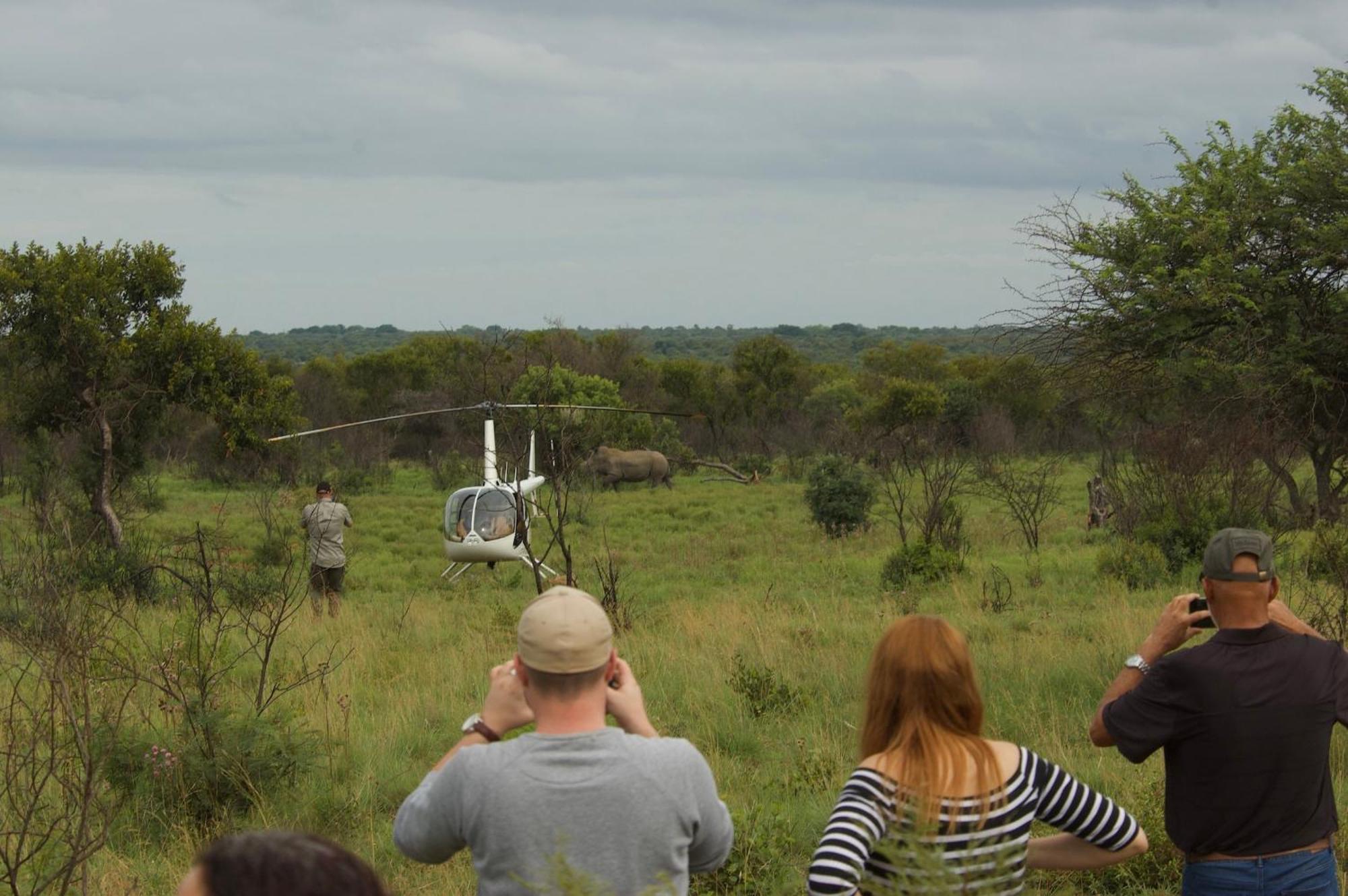 Out In Africa Wildlife Lodge Hammanskraal Luaran gambar
